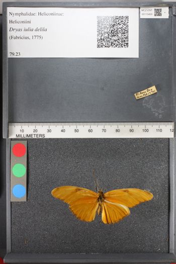 Media type: image;   Entomology 115400